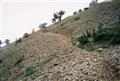 Alternate Trail to Baldy's Summit