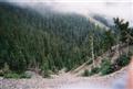 Ravine leading up Baldy