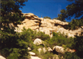 Climbing/Rappelling rocks at Dean Cow