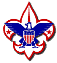 Link to Official BSA Site