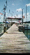 Sea Base T-dock