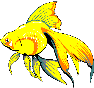 Goldfish