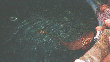 Key West Aquarium