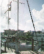 Mr. Ed at Hawk's Cay again