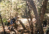 trail work