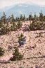 Phillips trail