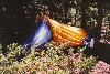 tent