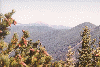 Trail Peak
