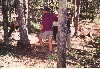 trail work