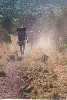 trail