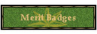 Merit Badges
