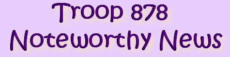 Troop 878