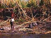 astu1.jpg (27752 bytes)