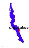 m015.jpg (15842 bytes)