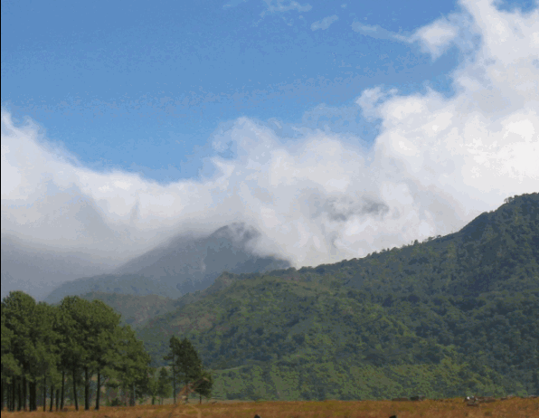 Saliendo de David  Boquete, desayune en una finca ganadera,  visite los senderos ecolgicos del Parque Internacional La Amistad en donde abunda variedad de aves, variedad extica de flora y paisajes maravillosos, luego visite una hacienda de cra de caballo de pura sangre, y disfrute de un caf mientras conoce una plantacin de fresa.