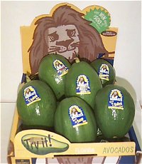 Avocado