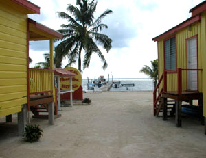 Tropical Paradise