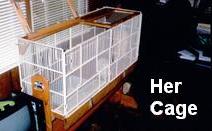 Trouble's cage that I built using under-grating from a grocery store's discarded produce case (refridgerator shelving)
