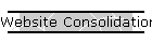 Website Consolidations