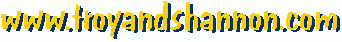 www.troyandshannon.com