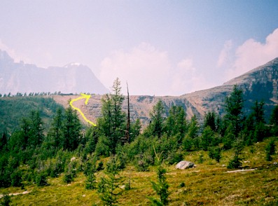 EiffelCol2.jpg (42789 bytes)