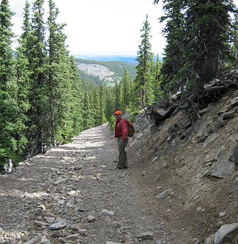 Shot of the road - Moose Mountain