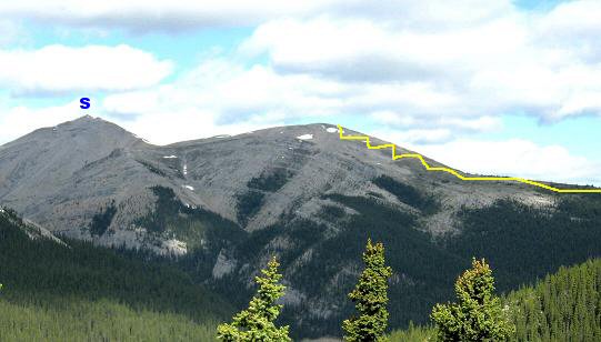 Long distance view of the route past tree line - Moose Mountain