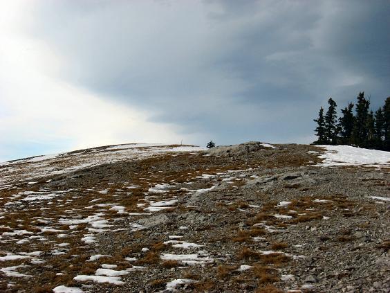 Summit Pole  - Prairie Mountain