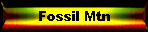 Fossil Mtn