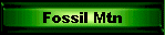 Fossil Mtn