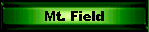 Mt. Field