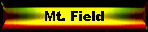 Mt. Field