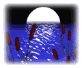 sumter.jpg (13017 bytes)