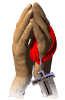 bible.gif (5722 bytes)