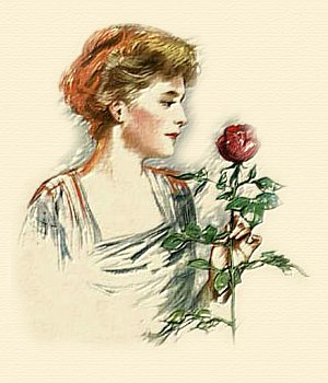 Lady Rose