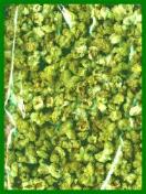 Green Popcorn