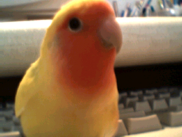 My closeup!