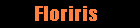Floriris - Site personal