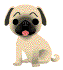Arf ... arf ... arf ... !!!