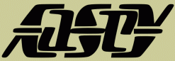 Casey Ambigram