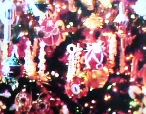 Details of Ivy's Tree