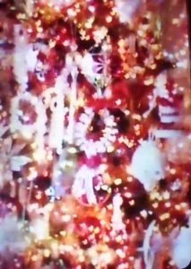 Details of Ivy's Tree