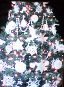 Bright White Tree