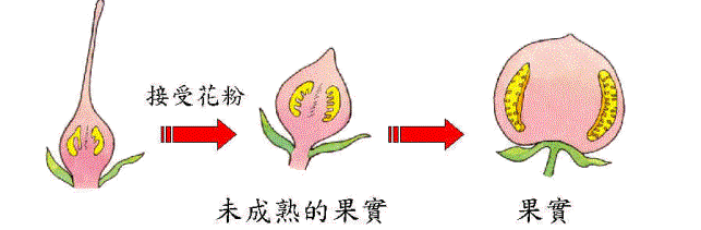 wpe7.jpg (24246 bytes)