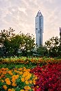 Skyscraping In Shanghai (111KB)
