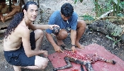 Salting A Monkey