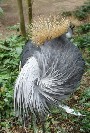 Zoo Bits