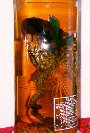 Chinese Firewater (97KB)