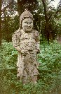 The Confucian Forest (152KB)