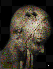 Contemplations 6 (78KB)